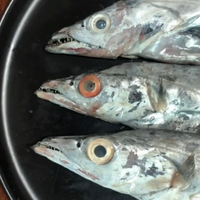 过年买带鱼，遇到这3种带鱼直接走就对了！水产店老板：从不给家人吃