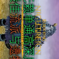 【黑夜君临】终于打入单人深度5，这是我的全部心得~ #艾尔登法环 #游戏攻略 #无赖 #steam游戏