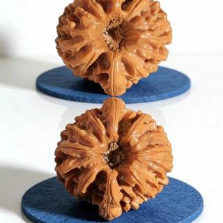 一分钟认识一种核桃｜龙门涧狮子头｜藏在深涧里的小众硬核文玩_收藏品_