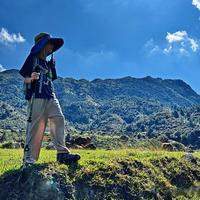 秋高气爽徒步季，选对徒步鞋，带娃户外撒欢轻松又安心！