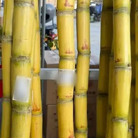 87 元一根甘蔗！百果园这价格到底贵在哪？