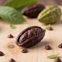 美国巧克力零售价2026年初同比大涨14.4%，创近年新高