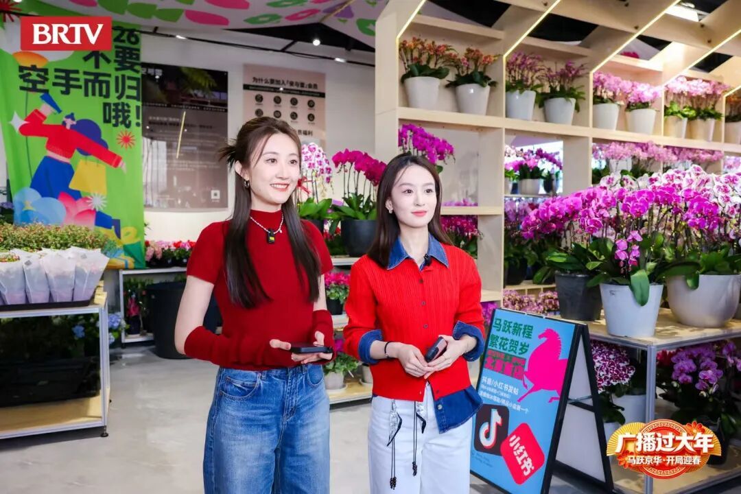 北京新春花事天花板!来海淀“花式”过大年