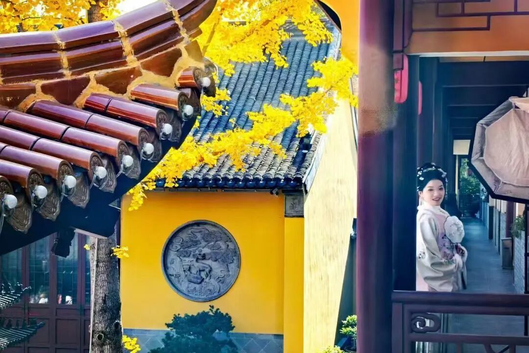 一园藏尽金陵秋：白鹭洲的秋冬，是一场银杏旧梦