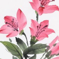 国画写意杜鹃花教程来啦
