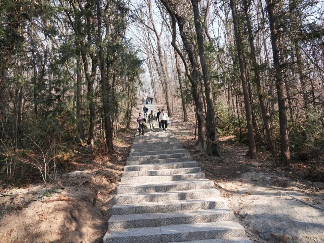 春节一起去明光爬山！收好这份老嘉山登山徒步攻略 | 我在滁州过大年