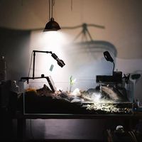 水陆缸｜半水龟缸｜乌龟缸｜运行35天遇到什么问题？小结一下，相互学习