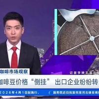 国内收购价60,出口价45,云南咖啡豆价格倒挂成定局,意味着啥?