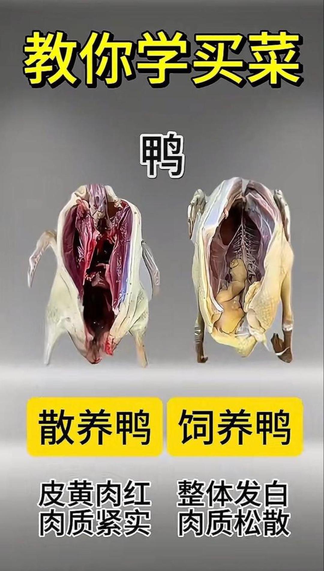 菜市场买菜不踩雷!牢记这几招,蔬菜新鲜又营养