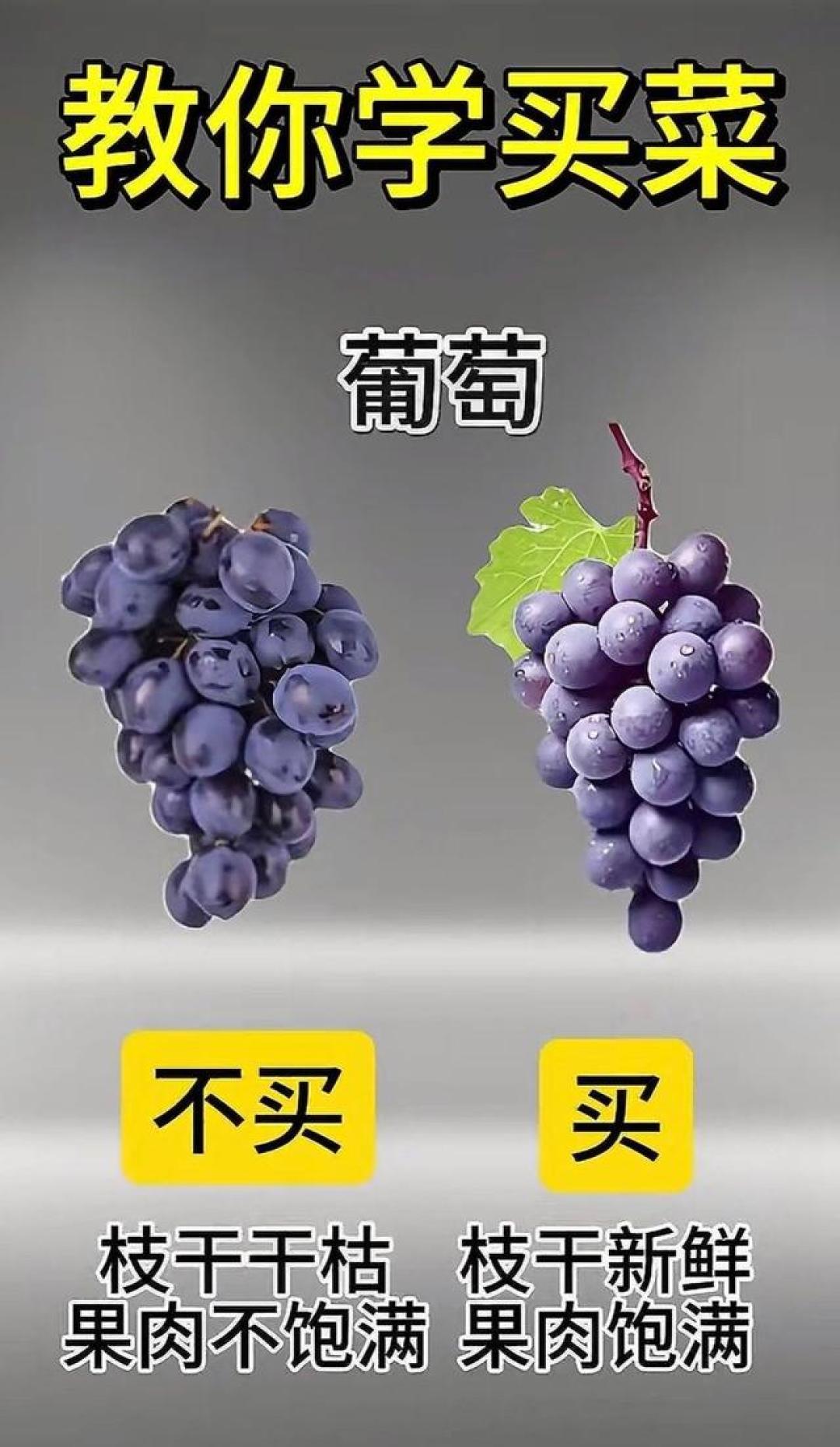菜市场买菜不踩雷!牢记这几招,蔬菜新鲜又营养