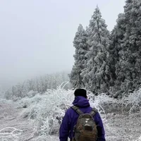 徒步重庆仙女山仙南牧场 感受南方下雪的魔法攻击。 #徒步 #重庆仙女山 #雪地 #登山