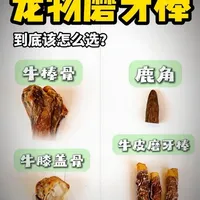 终于找到了！不卡喉、易消化的“神仙”磨牙棒！ #撸爪 #万物可爱计划 #宝贝年味企划 #益和鲜时 #益和鲜时嘎嘎棒