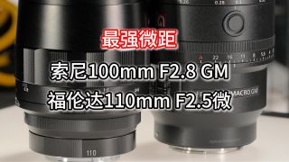 最强微距镜头对决，索尼100 F2.8GM vs 福伦达110 F2.5微