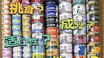 三猫家庭年度严选！品质主食罐大分享#养猫用品推荐 #猫 #小壳 #小壳排毛罐#猫罐头