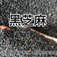 #想了解更多黑芝麻的知识请看评论区#黑芝麻#冷知识科普 #有趣的知识又增长了