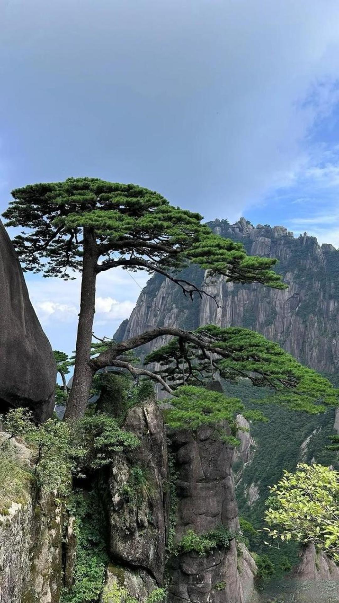 走进安徽省黄山市