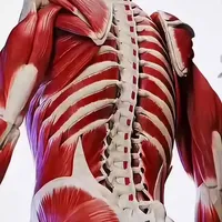 0210｜每一页都结合了3D图解与真实影像，让复杂的知识一目了然、容易理解#科普 #百科 #DK百科 #人体