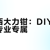德力西大力钳：DIY神器还是专业专属？全网观点大碰撞