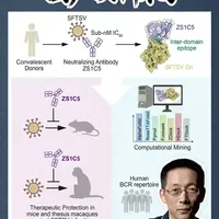 知识春节巨献 | Vita：开启冲击CNS正刊之路 #知识前沿派对 #抖音年味新知贺岁 #科普 #科研 #文献 @抖音科普 中国期刊版的《浪浪山小妖怪》来了！1月25日，Vita上线首期3篇论文，正式开启向国际顶刊的冲击之路