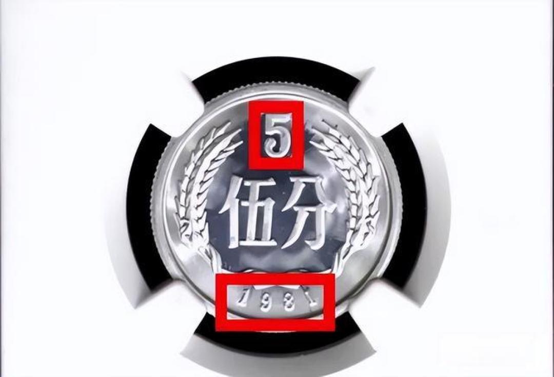 5分硬币是这年份别丢,行家:单枚能卖3200元!你能找到吗?