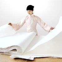 “纸寿千年”的秘密是什么？寻找春晚徽韵之宣纸