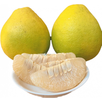 柚子这东西有多邪门？可不能乱吃！ #知识播种计划