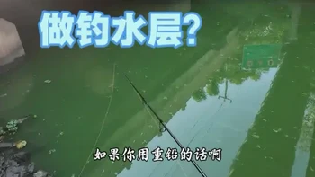 路亚干货分享:如何快速确定做钓水层？以及根钓钩克重选择？#路亚翘嘴 #野钓路亚 #上海路亚 #掏桥洞微物竿