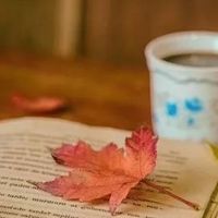 2025阅读复盘｜这三本，是我平淡日子里的精神锚点📚