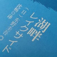 东野圭吾《湖畔》：这哪是推理，分明是鸡娃家长的疯魔实录