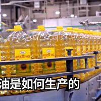 每天在用的葵花籽油，原来是这么生产的！从花盘到油瓶：一粒葵花籽的工厂漂流记