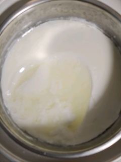 用十年前的菌粉+酸奶机成功做出了酸奶！