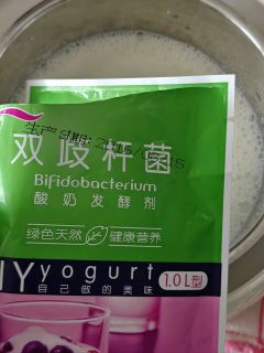 用十年前的菌粉+酸奶机成功做出了酸奶！