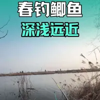 春季晴天、阴天、大风降温天，钓深钓浅完全不同，只有根据天气选择深浅才是明智的选择#原来钓鱼才是抖音运动顶流 #春钓鲫鱼 #化氏鲜藻元素 #沃鼎产品体验官 #沃鼎王者神剑四代