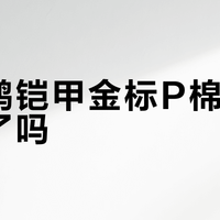天石鹅铠甲金标P棉服被高估了吗？600+用户观点大PK