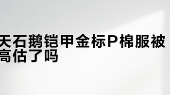 天石鹅铠甲金标P棉服被高估了吗？600+用户观点大PK