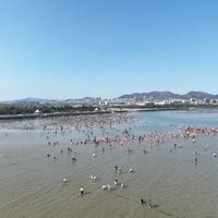 赶海不是挖沙玩水！3岁以上家庭选择前必看潮汐安全与引导设计