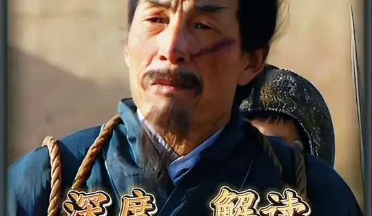 深度解析三国演义之审配之死#深度解析 #审配 #曹操 #历史故事#精选内容_文化艺术_什么值得买