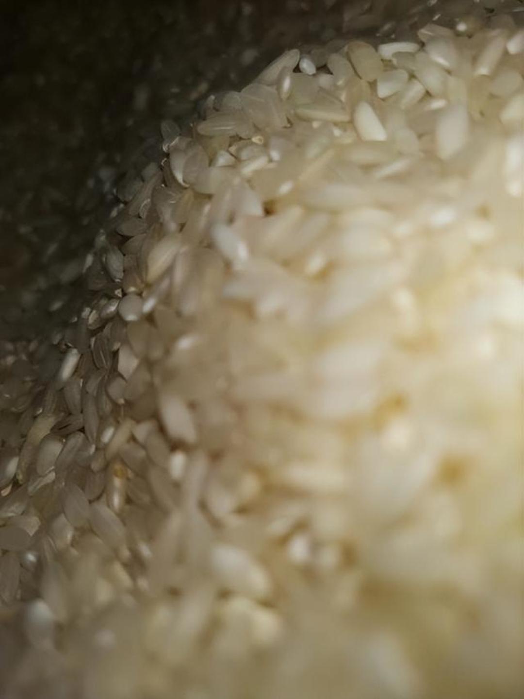 大量人造米流入市场,成本只要几毛钱?提醒:4种大米,真要少吃