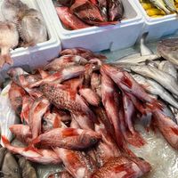 春节宁波顶流菜场实拍！中午还人山人海，网友直呼：常吃的虾要200元一斤，吃不起了