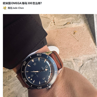 欧米茄OMEGA海马300怎么样？