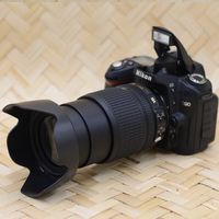 听爷爷讲讲他是怎么在摄影圈混了50年的，从胶卷到数码，从海鸥到勃朗尼卡到尼康～#摄影师 #胶卷相机 #数码相机 #老法师拍照 #热爱