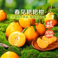 一颗橘子引发的全网大战：你吃的“耙耙柑”，可能连名字都叫错了
