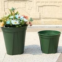 花盆里埋一把大米，再难养的花也能枝繁叶茂，叶片油绿不黄叶