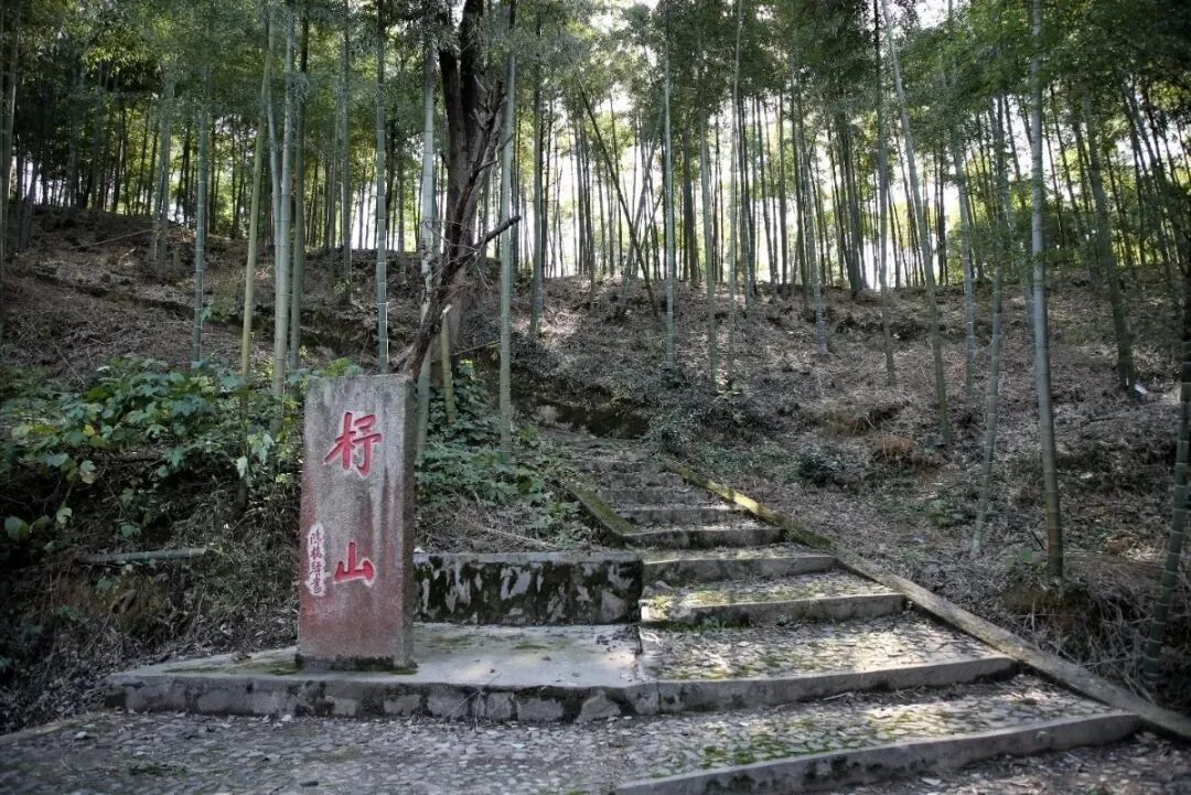 茶之圣地