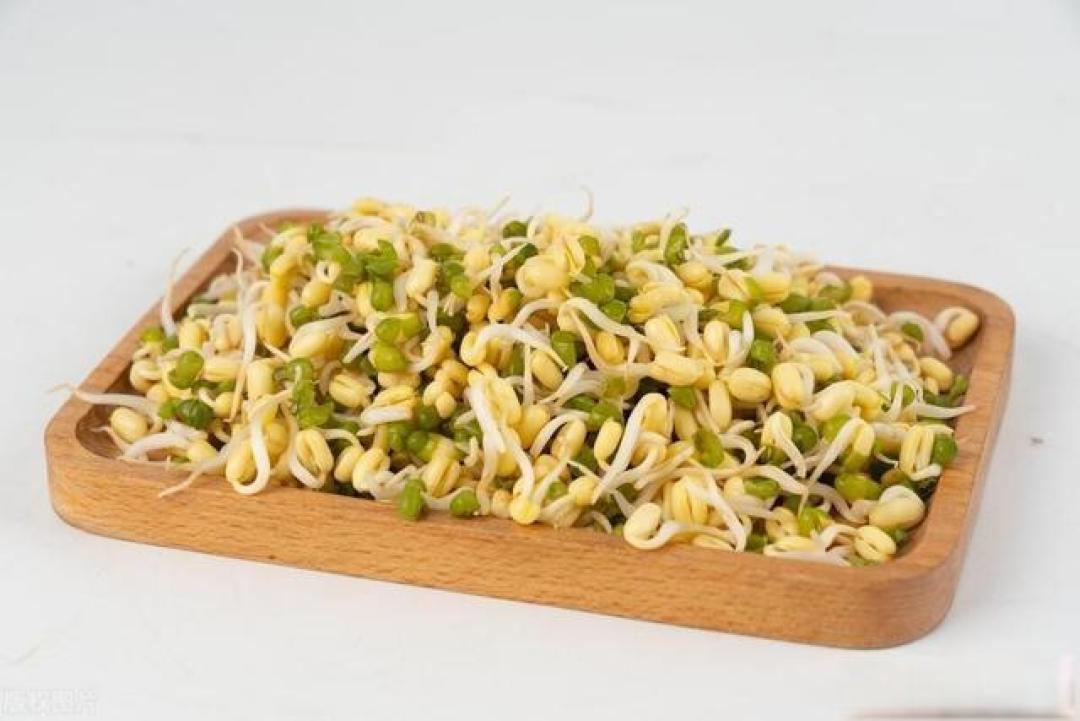 老话说“入春排毒素,一年都不堵”!建议多吃这4样,舒服过春天