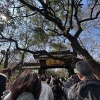 杭州灵隐寺+飞来峰为什么人气千年不衰?答案藏在一景一寺里