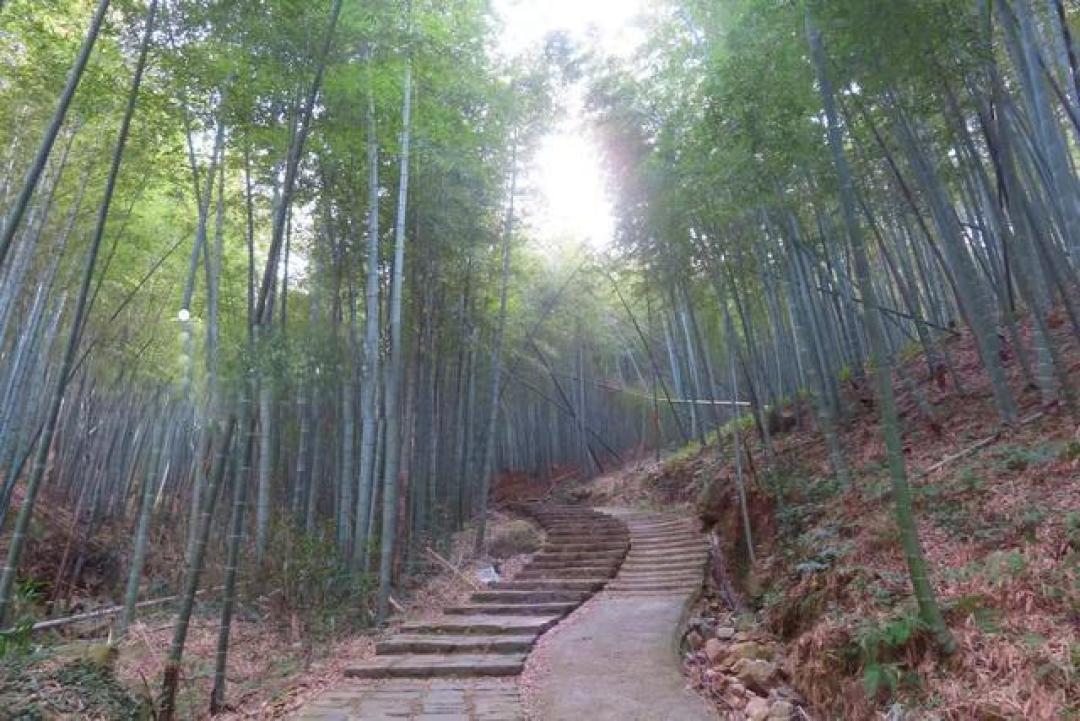 藏在宁波群山的徒步秘境，永传寺环线奇石林立，险峻清幽值得游玩