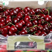 盒马2026年2月12日起全面下架智利车厘子，转向空运澳新车厘子