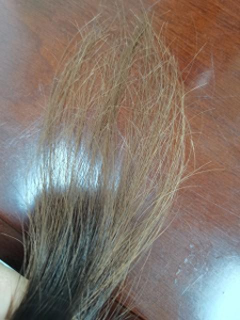 2026年度对身体没有伤害染发剂排行榜!真实测评最安全无害又方便