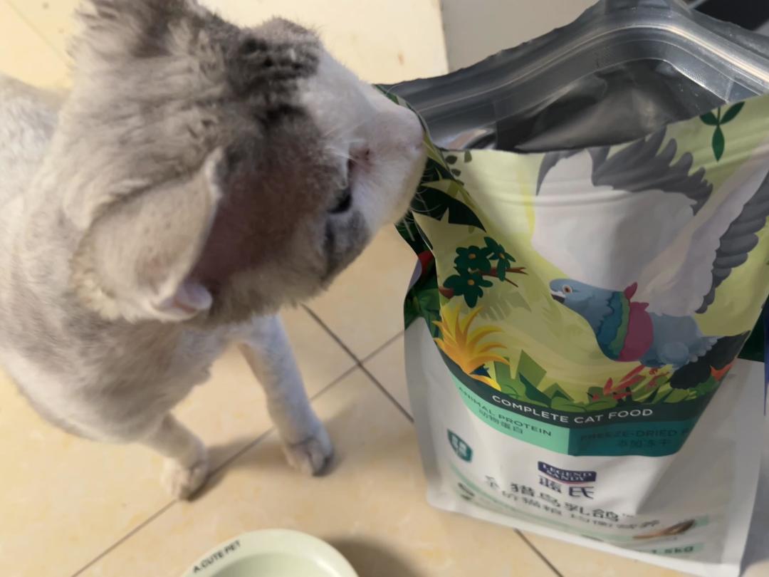 预算有限又想给猫吃好点？蓝氏猎鸟乳鸽猫粮，是质价比拉满的平价高端粮还是智商税？